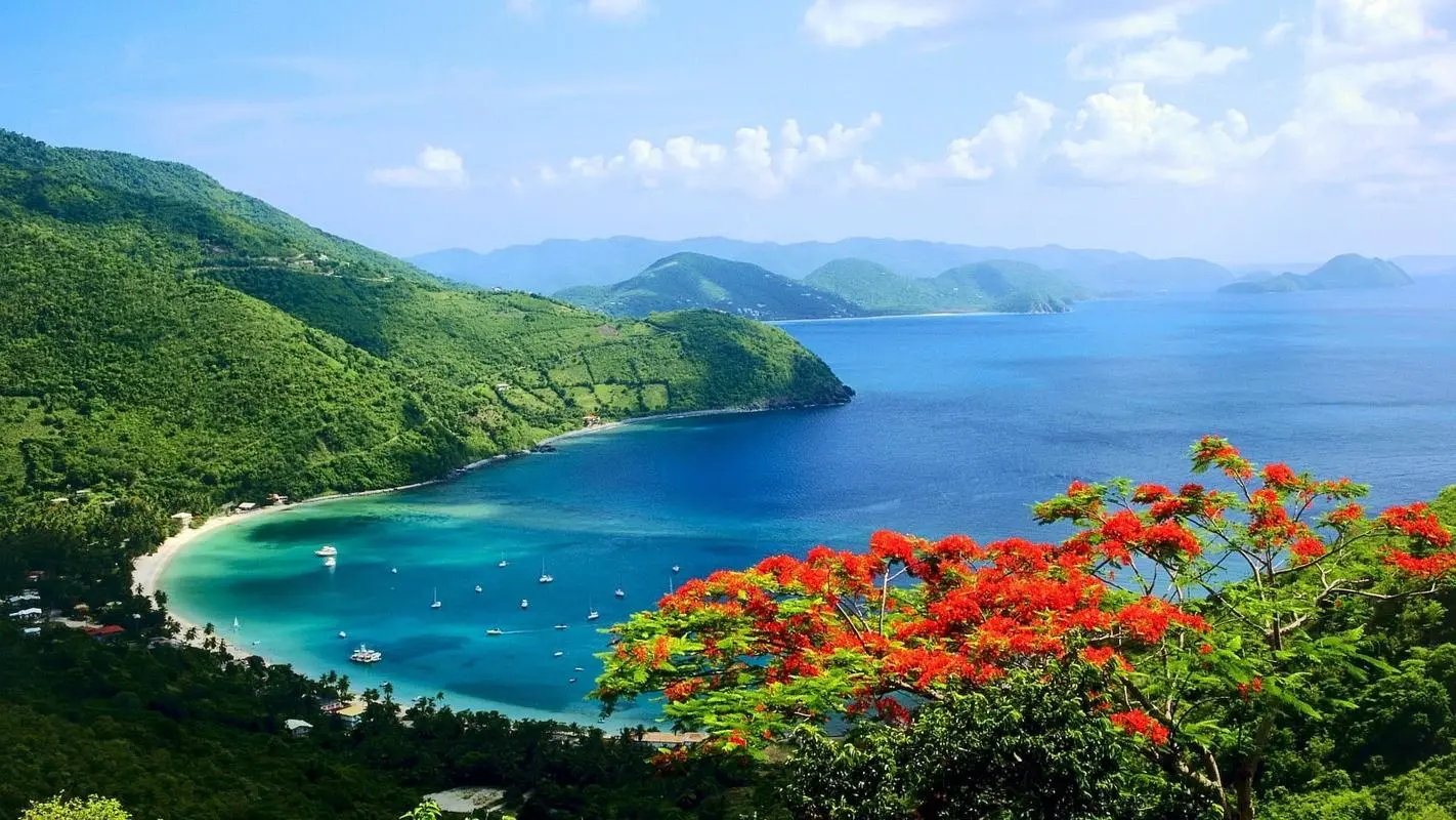高性能全自动先进